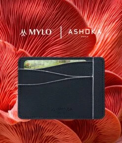Mylo™️ Vegan Mushroom Leather Large Card Holder | White 9 Mylo™️ Vegan Mushroom Leather Large Card Holder | White -Women Clothing Store ashoka paris grand porte cartes en champignon mylo blanc 30667565662321