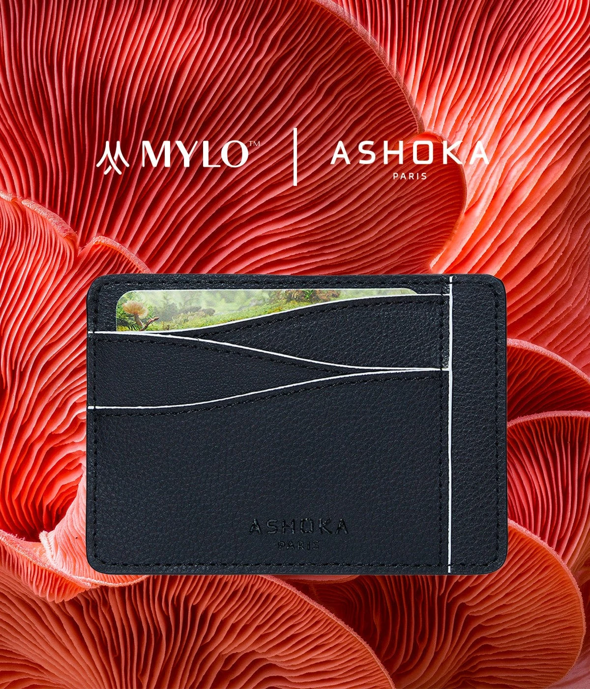 Mylo™️ Vegan Mushroom Leather Large Card Holder | White 4 Mylo™️ Vegan Mushroom Leather Large Card Holder | White - Image 2