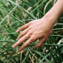 Seville 925 Sterling Silver Crescent Ring -Women Clothing Store little by little seville crescent ring silver 29221885345905