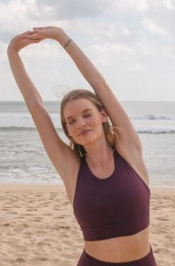 Isa Recycled Nylon Sports Bra | Mahogany -Women Clothing Store september isa sports bra mahogany 30372974624881